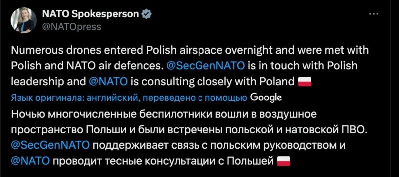    В НАТО залет дронов в Польшу считают не нападением, а провокацией