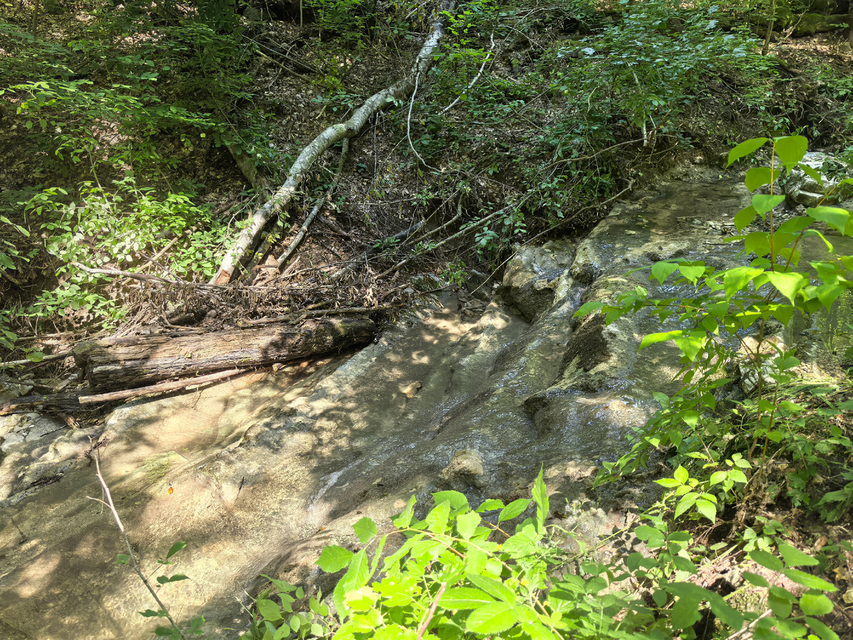 Ручей Инопланетный.