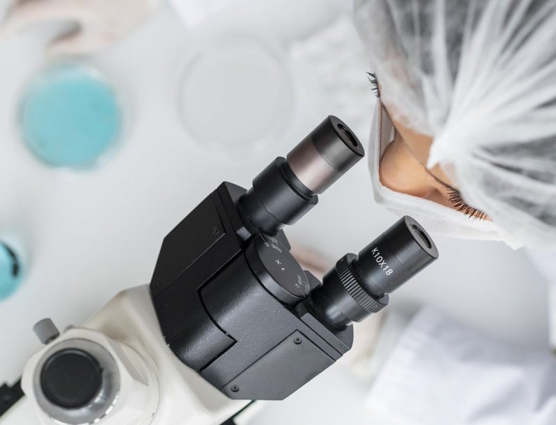    Исследование. Фото: freepik.