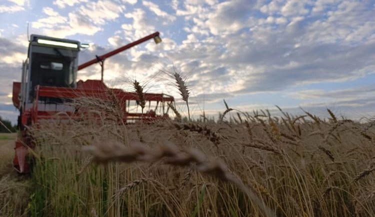    Фото: Министерство сельского хозяйства Республики Саха (Якутия)