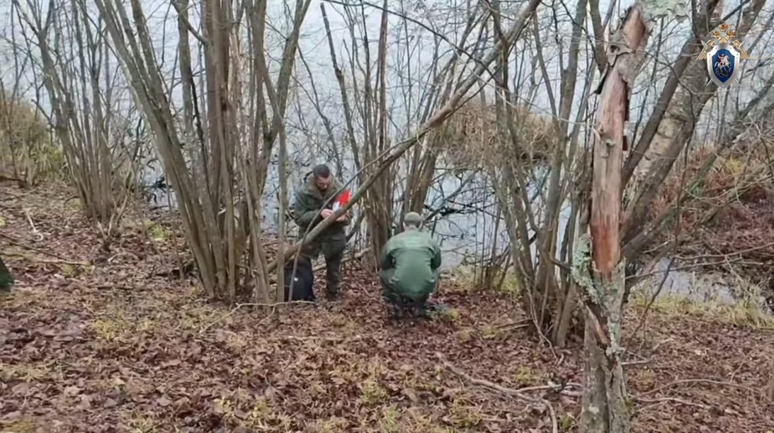 Фото: СУ СК России по Псковской области