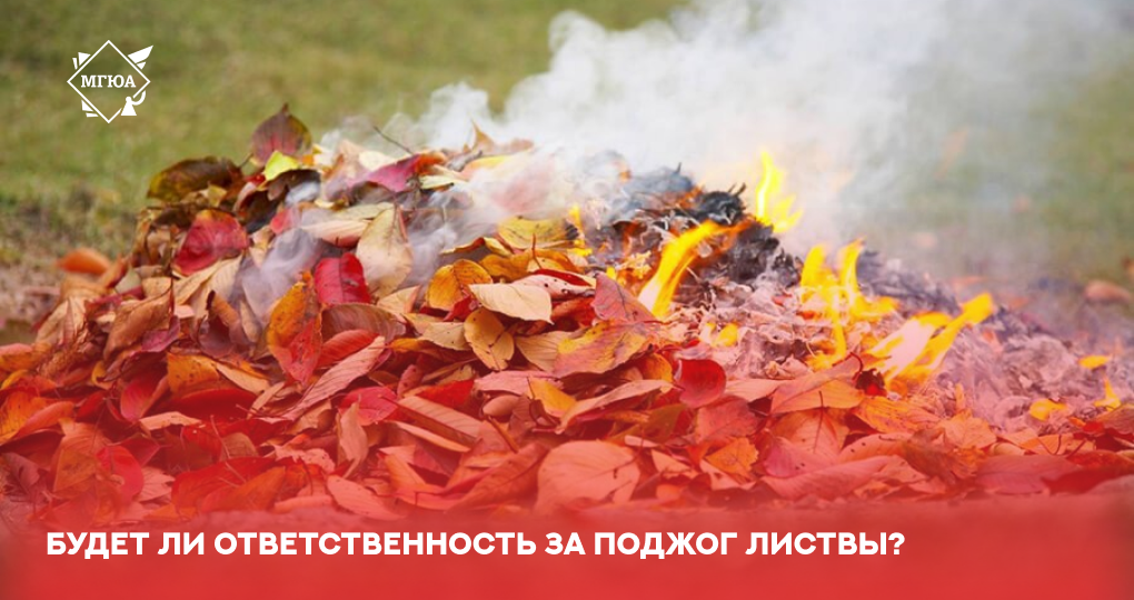 Будет ли отвественность за поджог листвы?
