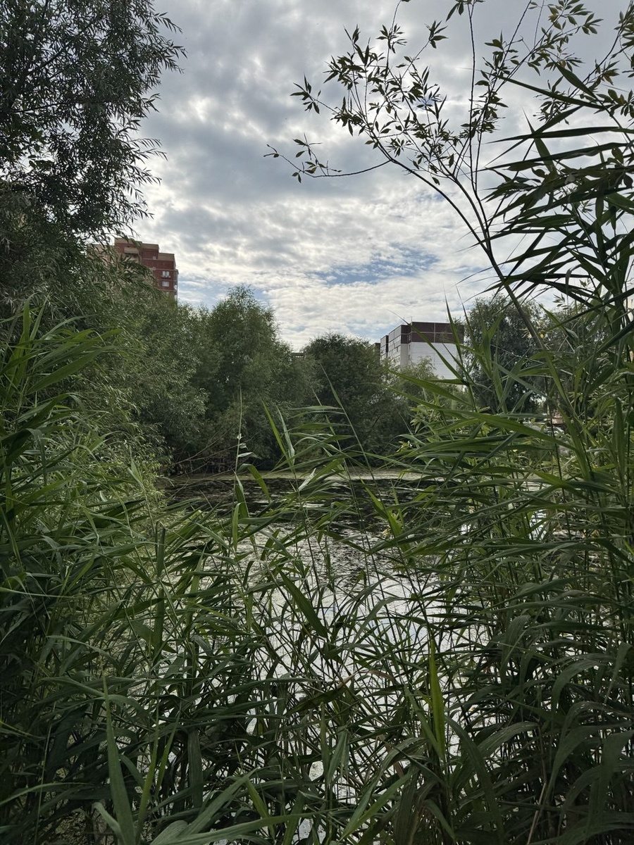 Выходы воды по маршруту Симбирки