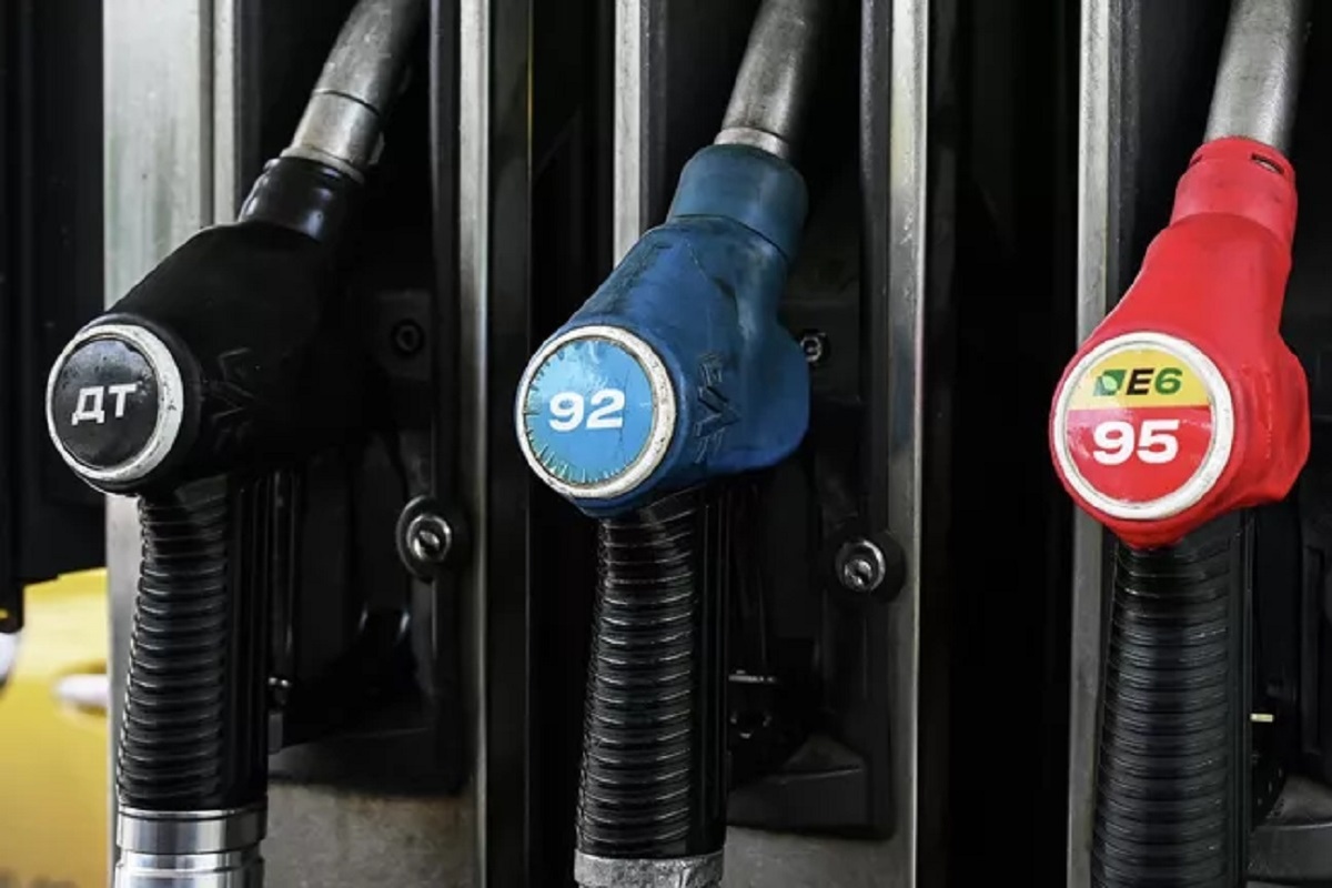    Фото: Алексей Филиппов, источник: РИА Новости