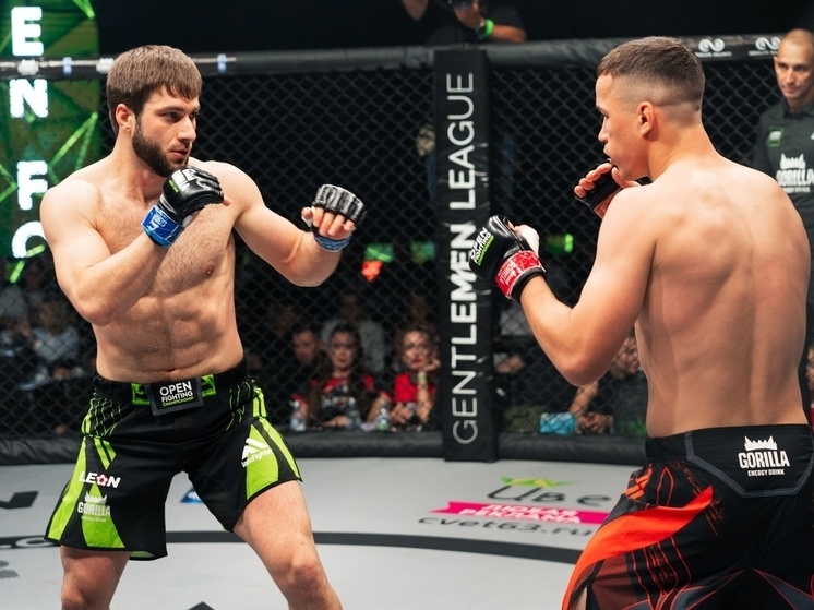     фото: Федерация СБЕ (ММА) Самарской области