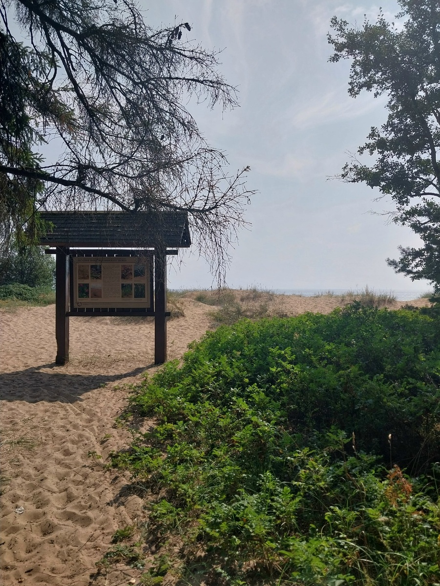 план был такой - найти подходящий валун - привалиться к нему спиной, закрыть глаза, слушать моря и... не заметишь, как день пролетит. К четырём, кажется, часам, поехала обратно в город - сдавать вещи в камеру, обедать и... гулять до десятичасового поезда на Москву; листать