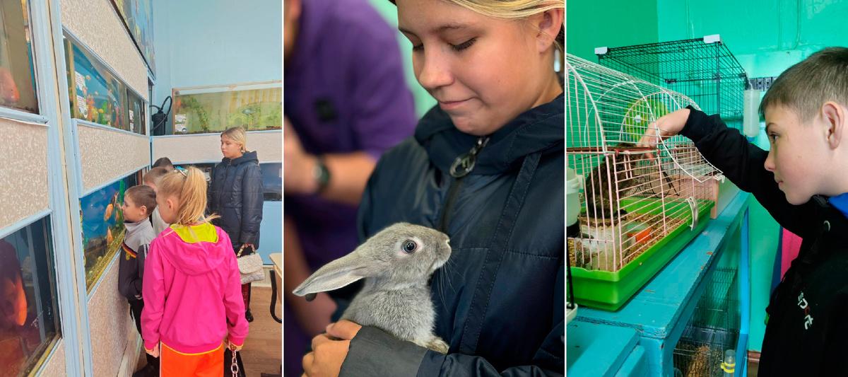 Фото: пресс-служба БрАЗа