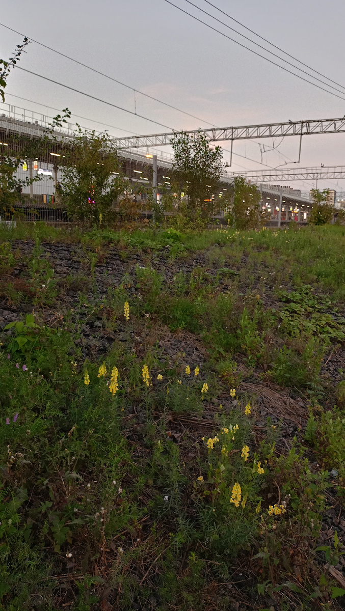 Фото автора. 