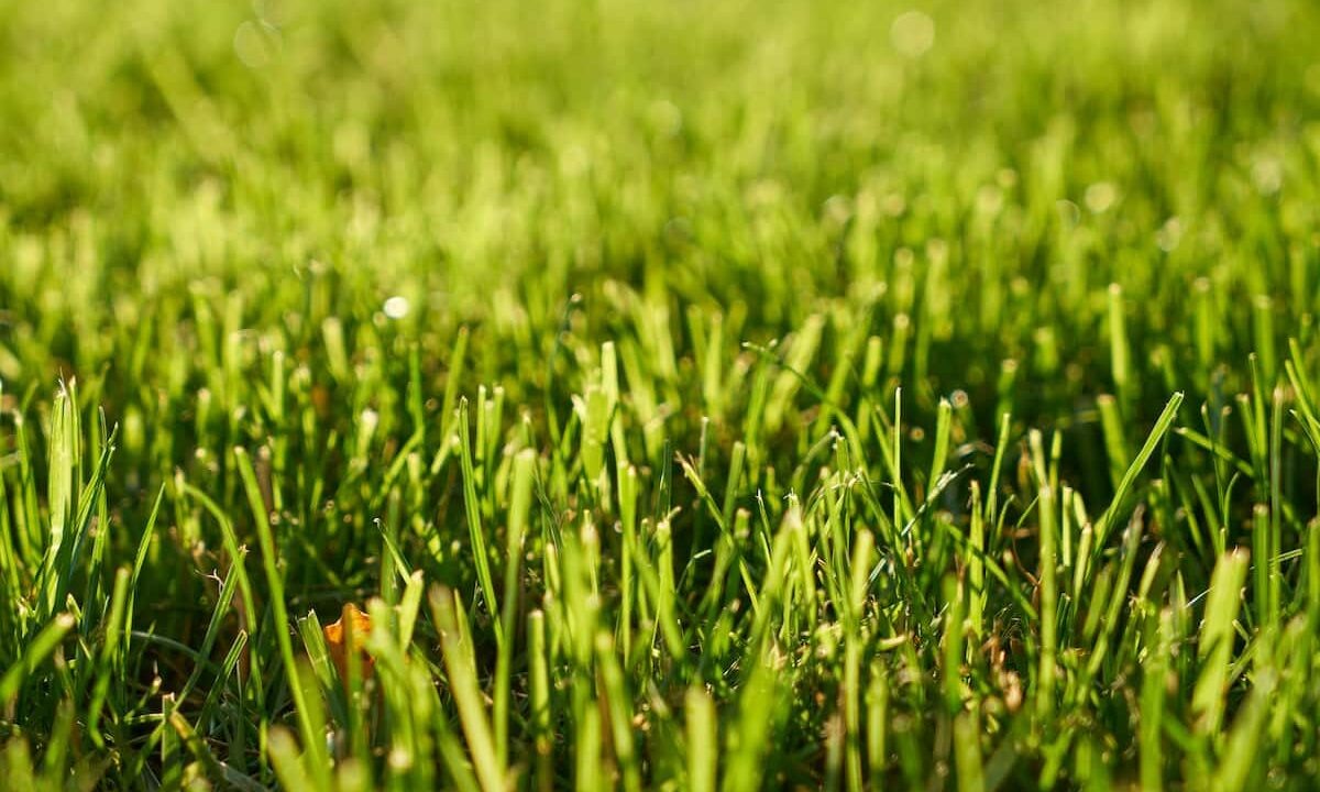    Фото freepik.com