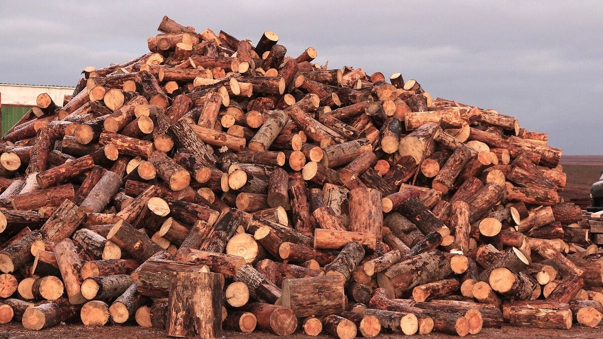    Твердое топливо завозят в отдаленные села Ямала. Фото: Елена Миленина / «Ямал-Медиа»