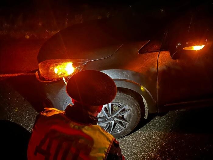     Фото: ГИБДД Свердловской области