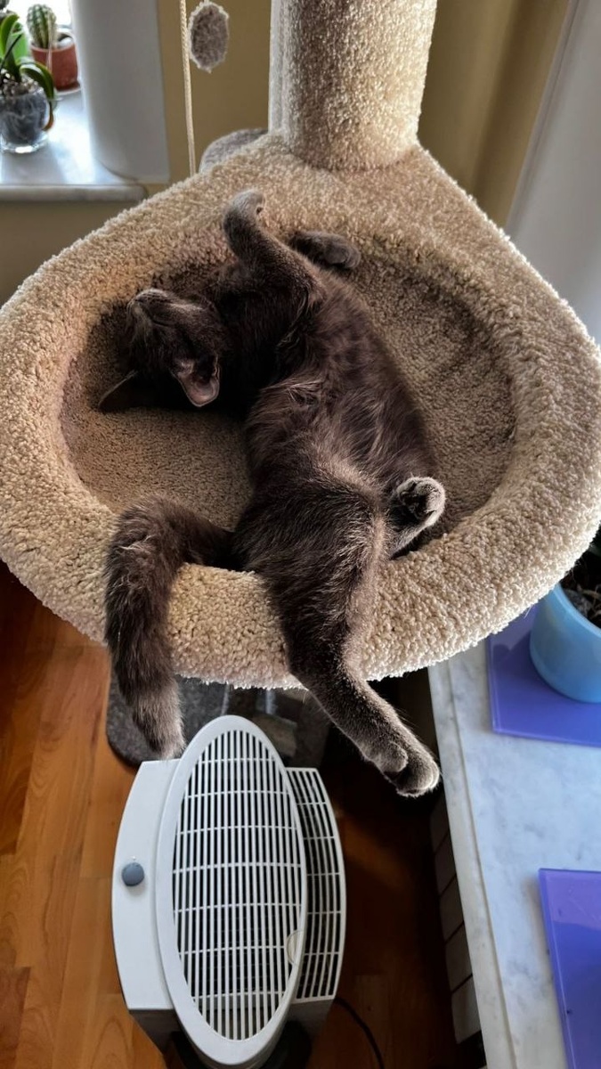 Много ли надо для счастья?