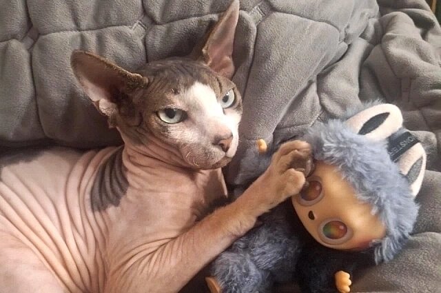    Фото: АиФ-Ростов