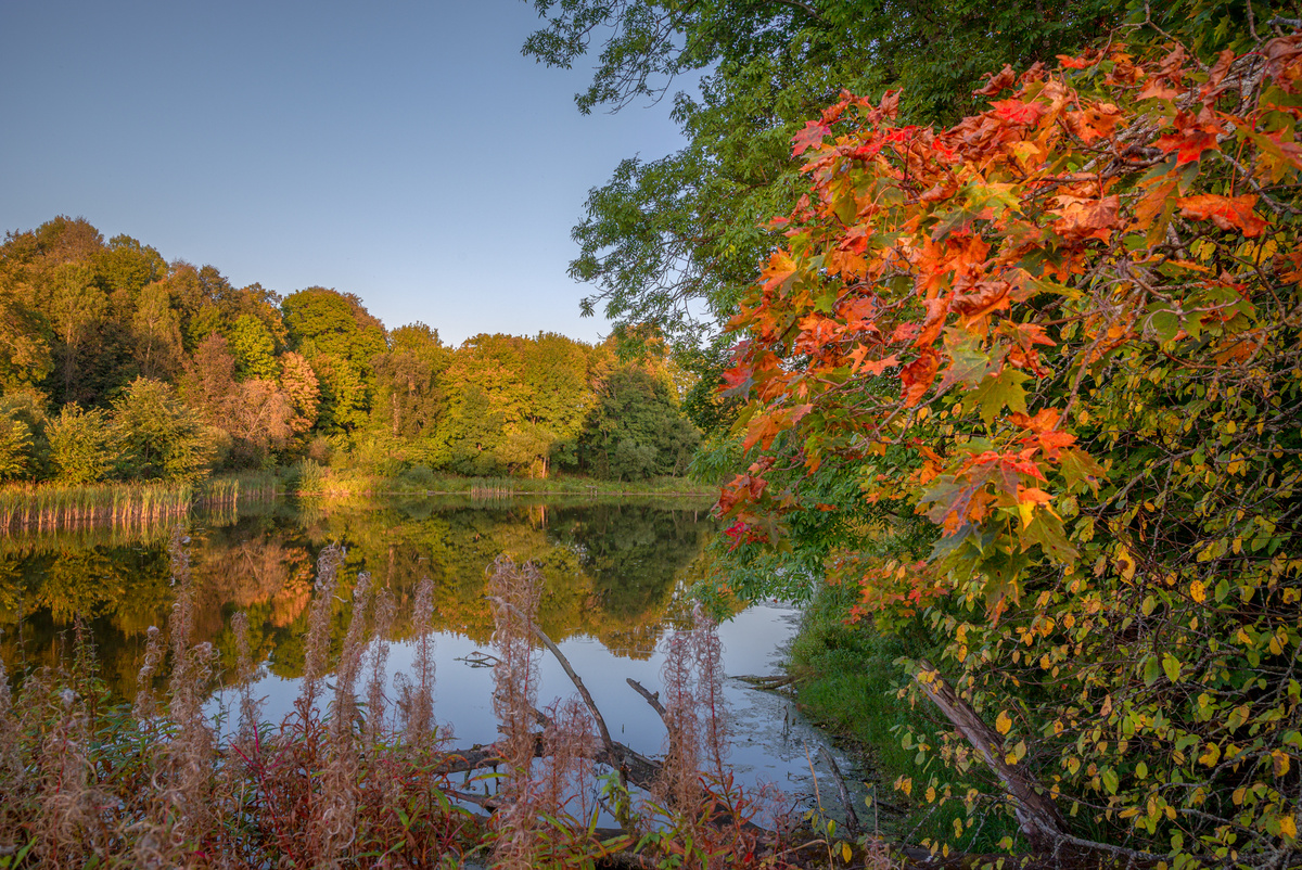 Вот и осень пришла...