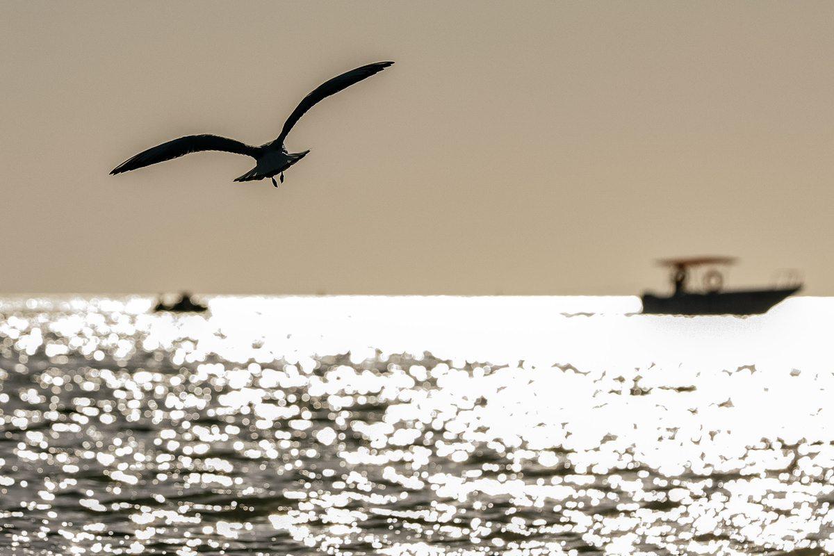 Roman Naumov / URA.RU / Global Look Press