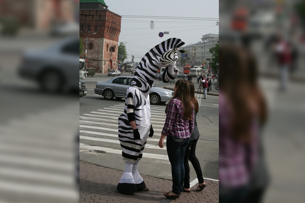    На что только не пойдешь в целях воспитания пешеходов. И зеброй оденешься. / Николай Нестеренко