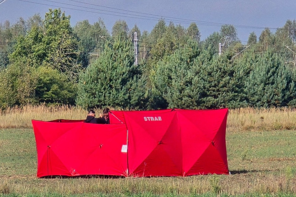    Фото © AP / ТАСС