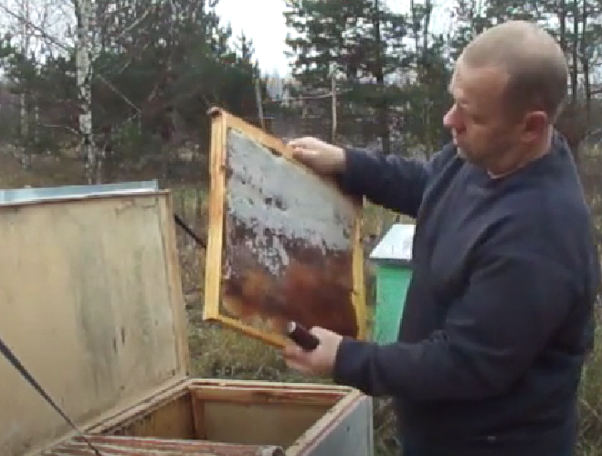 Отбор мёда когда пчёлы собрались в клуб октябрь-ноябрь без стряхивания и щётки