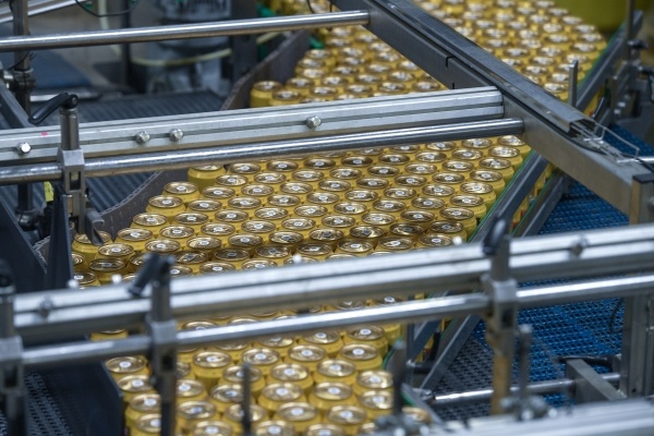 Фото: Александр Гальперин/РИА Новости