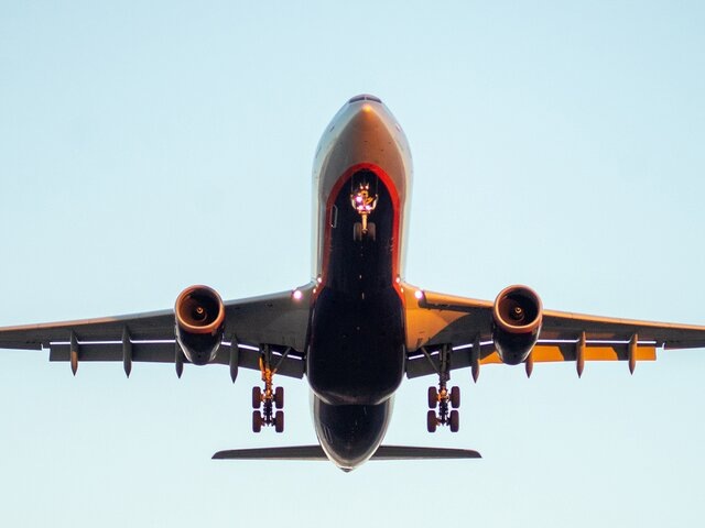    Фото: 123RF/fifg