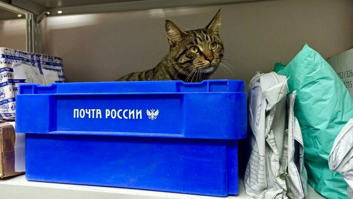 источник Яндекс-картинки