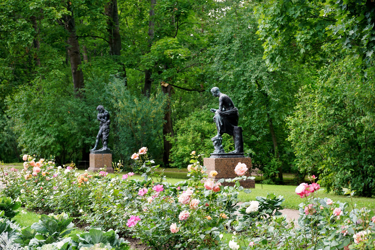 Рамповая аллея. Фото автора.