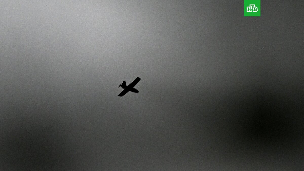    Фото: РИА Новости © 2025, Станислав Красильников