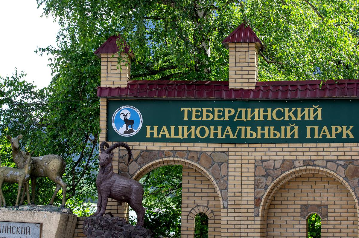 Фото: Арсен Алабердов/ТАСС