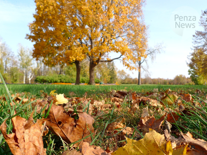    © Фото из архива ИА «PenzaNews»