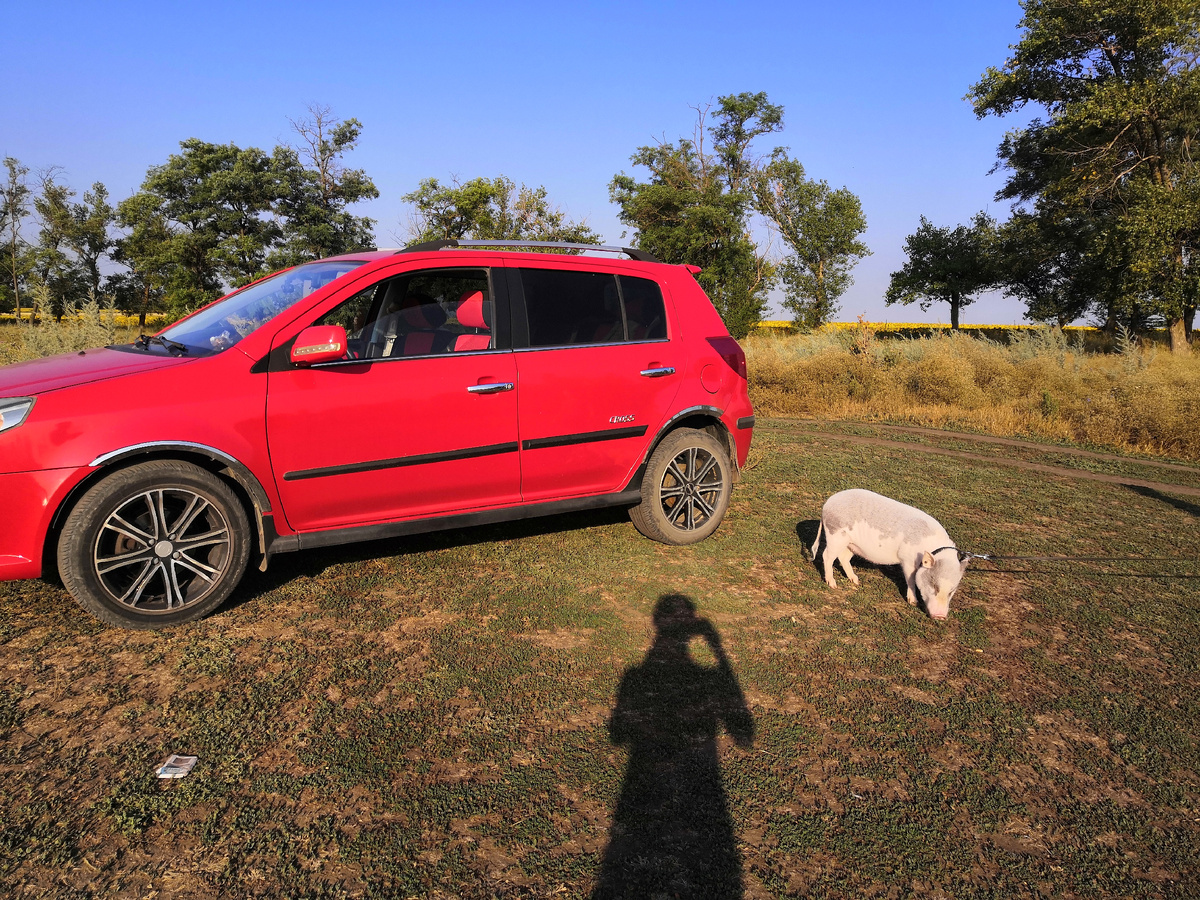 Вот такая Джилька