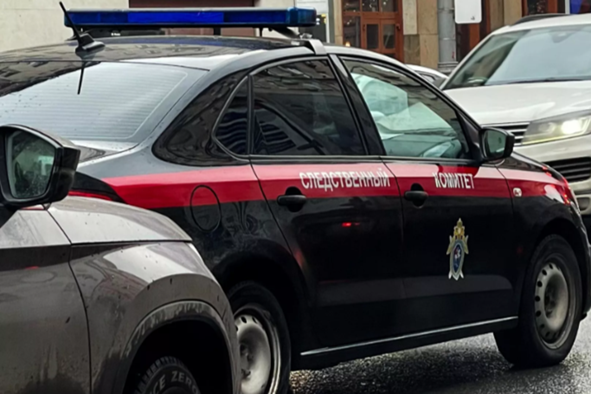    Фото: Наталья Селиверстова, источник: ria.ru