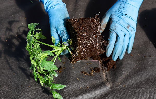 Кирилл Кухмарь/ТАСС