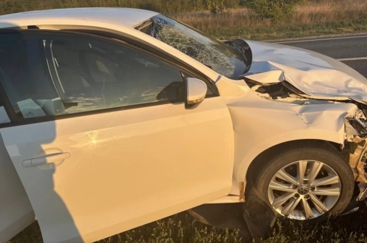    Сотрудники полиции установливают все обстоятельства произошедшего.