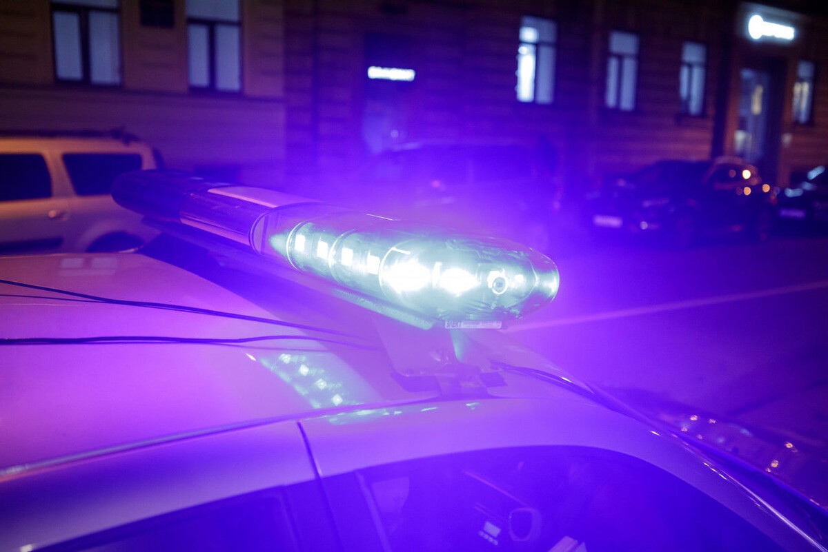 Фото: Роман Пименов / «Петербургский дневник»