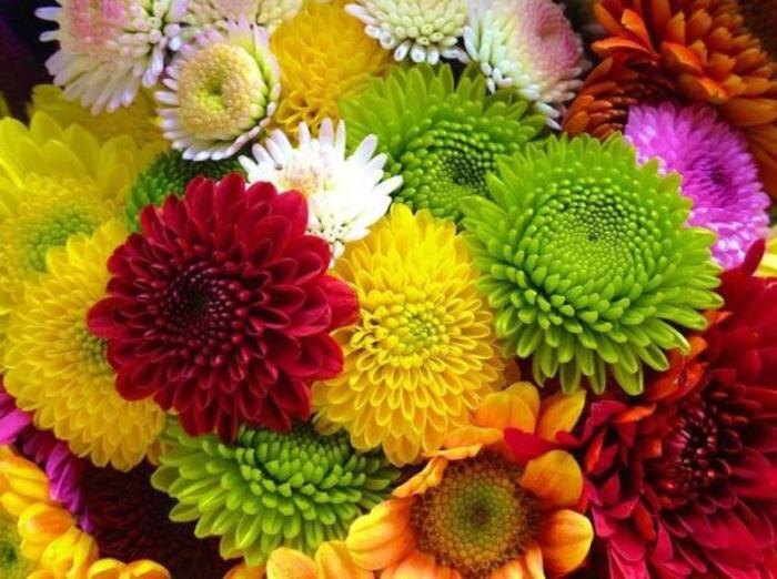     Фото: Россельхознадзор