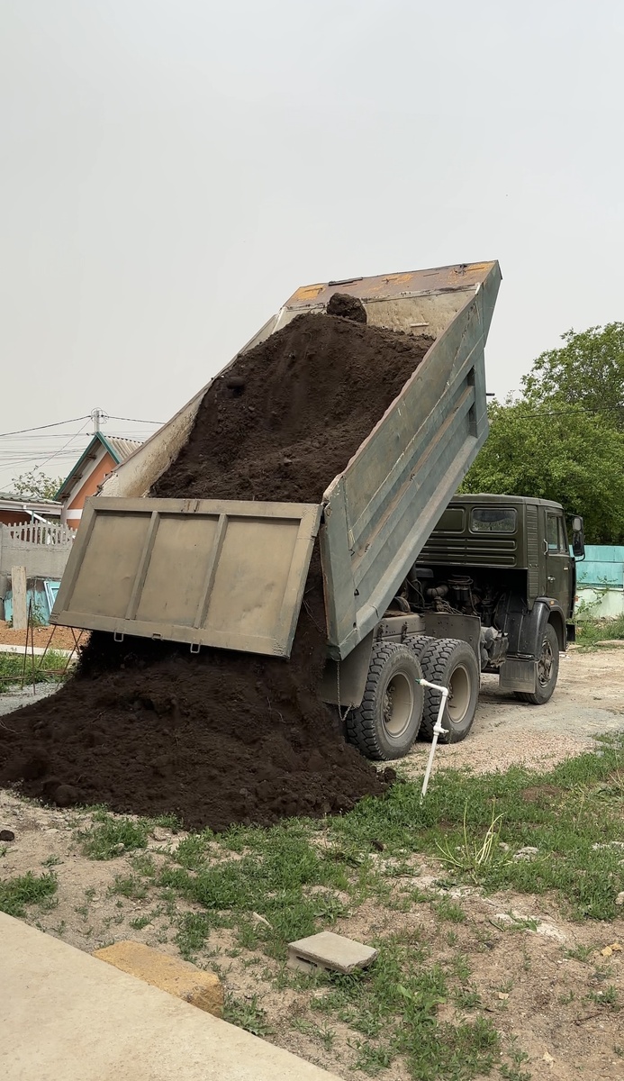 Ели уговорила мужа купить хотя бы одну машину. Соседи и друзья меня  не поняли - кругом стройка, а я деревья сажаю