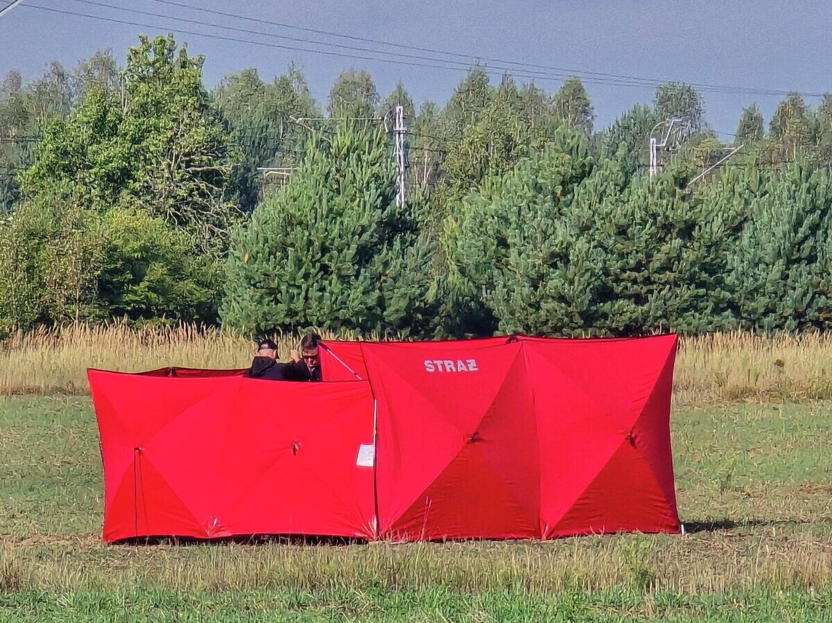    Место обнаружения сбитого беспилотника в населенном пункте Чоснувка, Польша© AP Photo / Piotr Pyrkosz