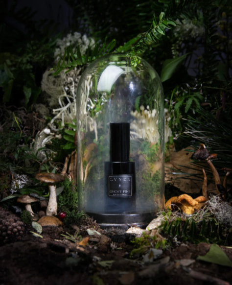 «Ghost Pine» Lvnea.