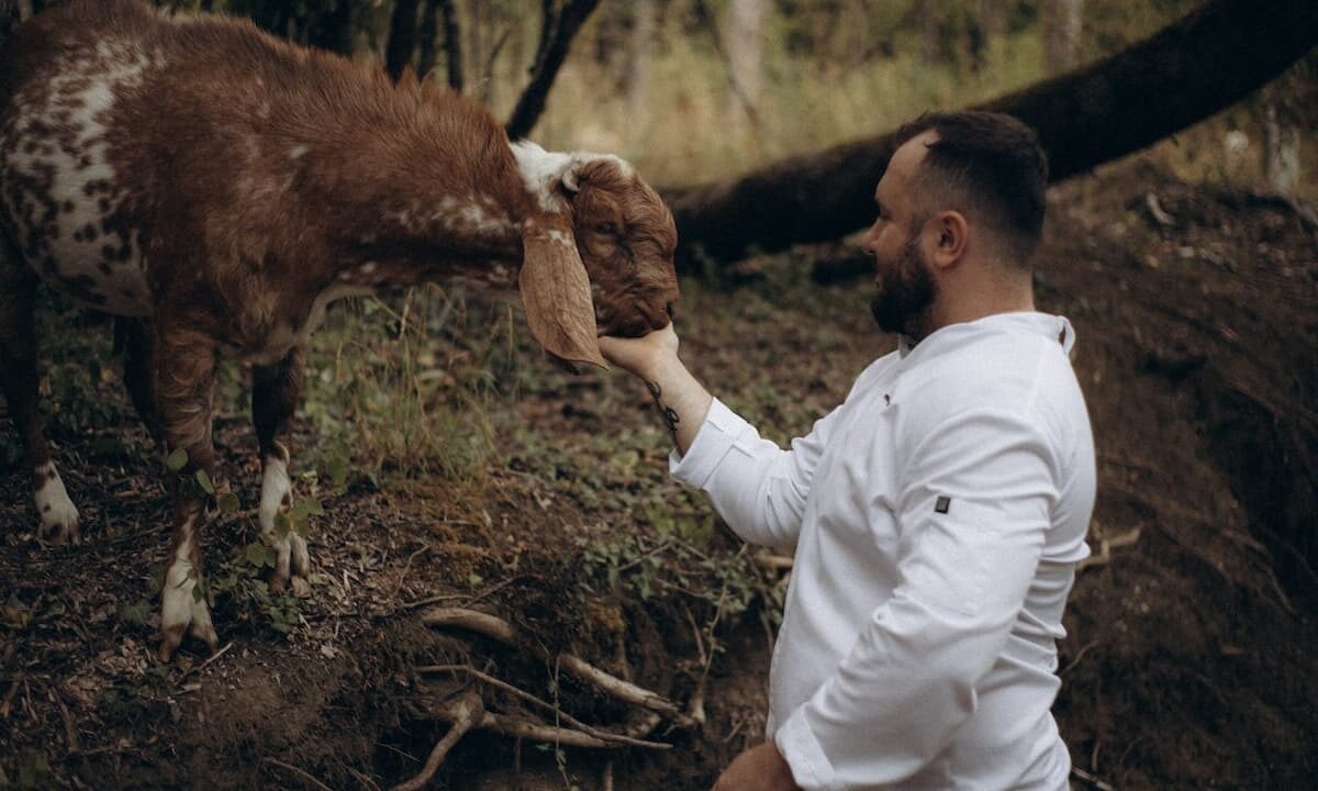    Фото пресс-службы администрации Краснодарского края