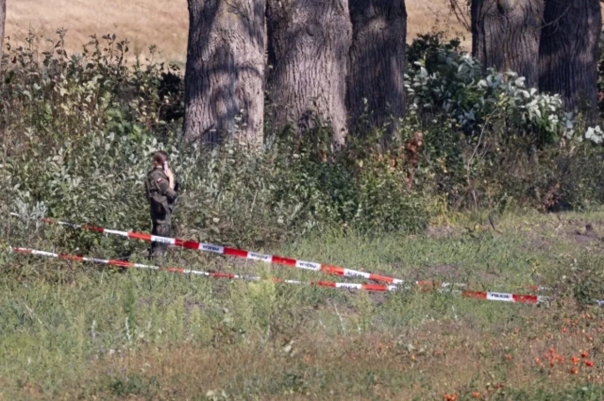    Российский дипломат Ордаш: БПЛА залетели в Польшу со стороны Украины