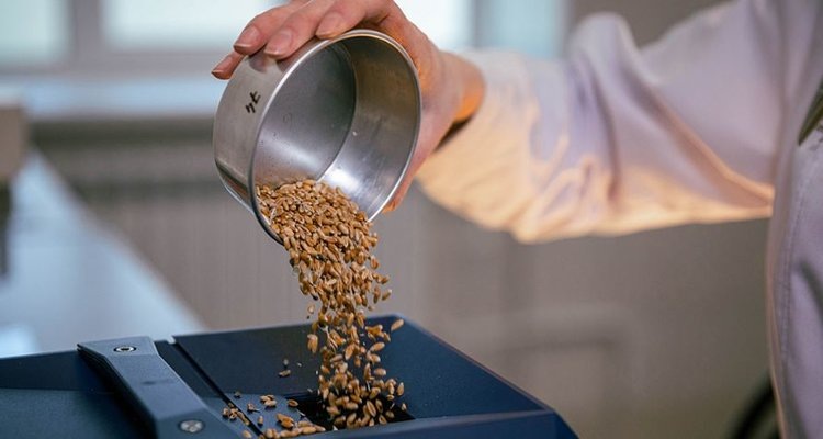    Фото: ФГБУ ЦОК АПК