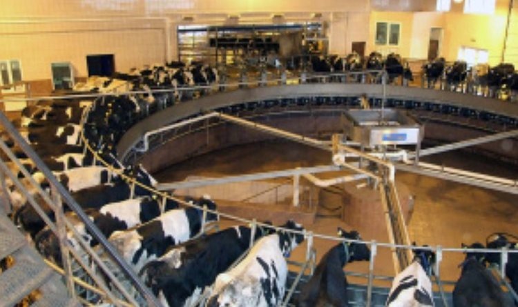    Фото: Минсельхоз Липецкой области