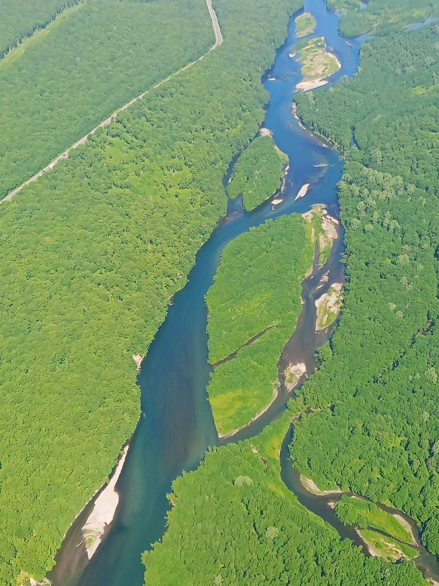 Камчатка. Фото автора