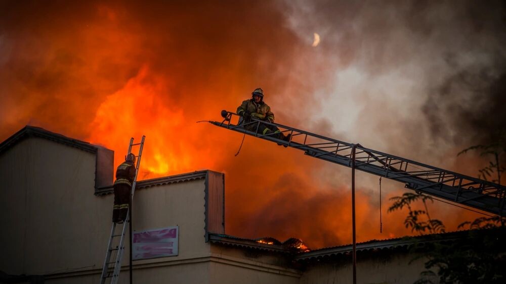    Фото: Kirill Sergeev/Shutterstock/Fotodom