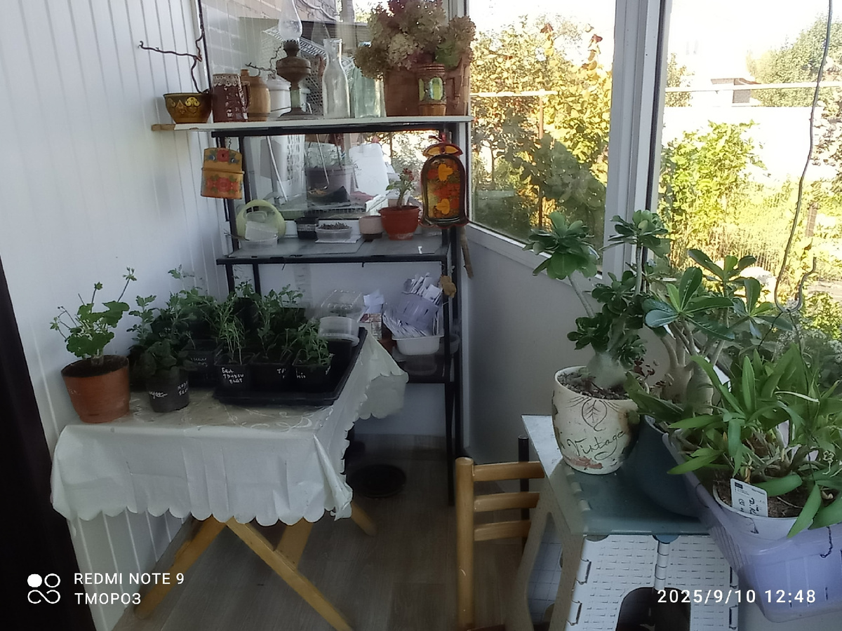 уж не весна ли?