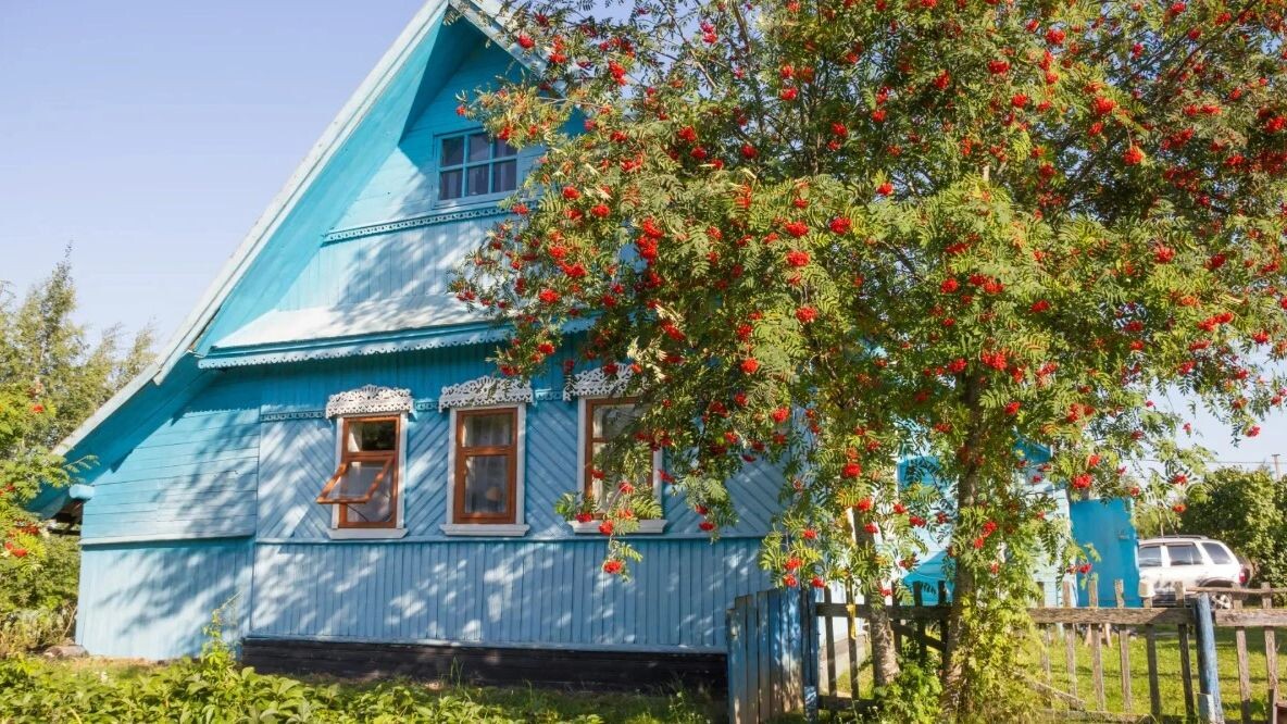    Фото: Marina Kuma / Shutterstock / Fotodom