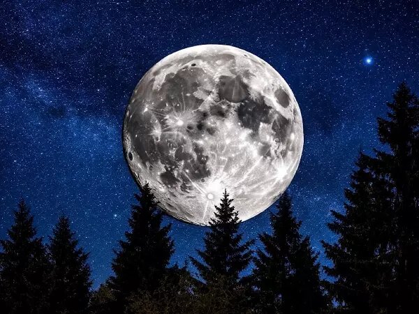    Фото: нейросеть Веселовские вести