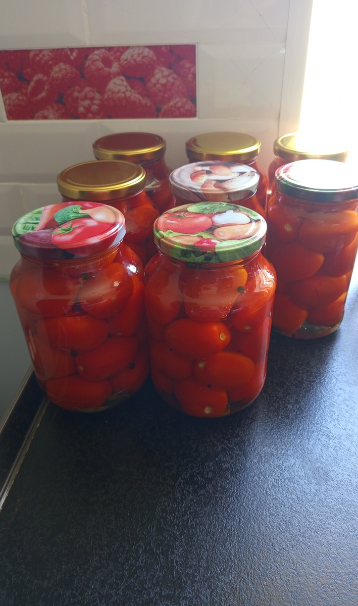 Результат моих трудов