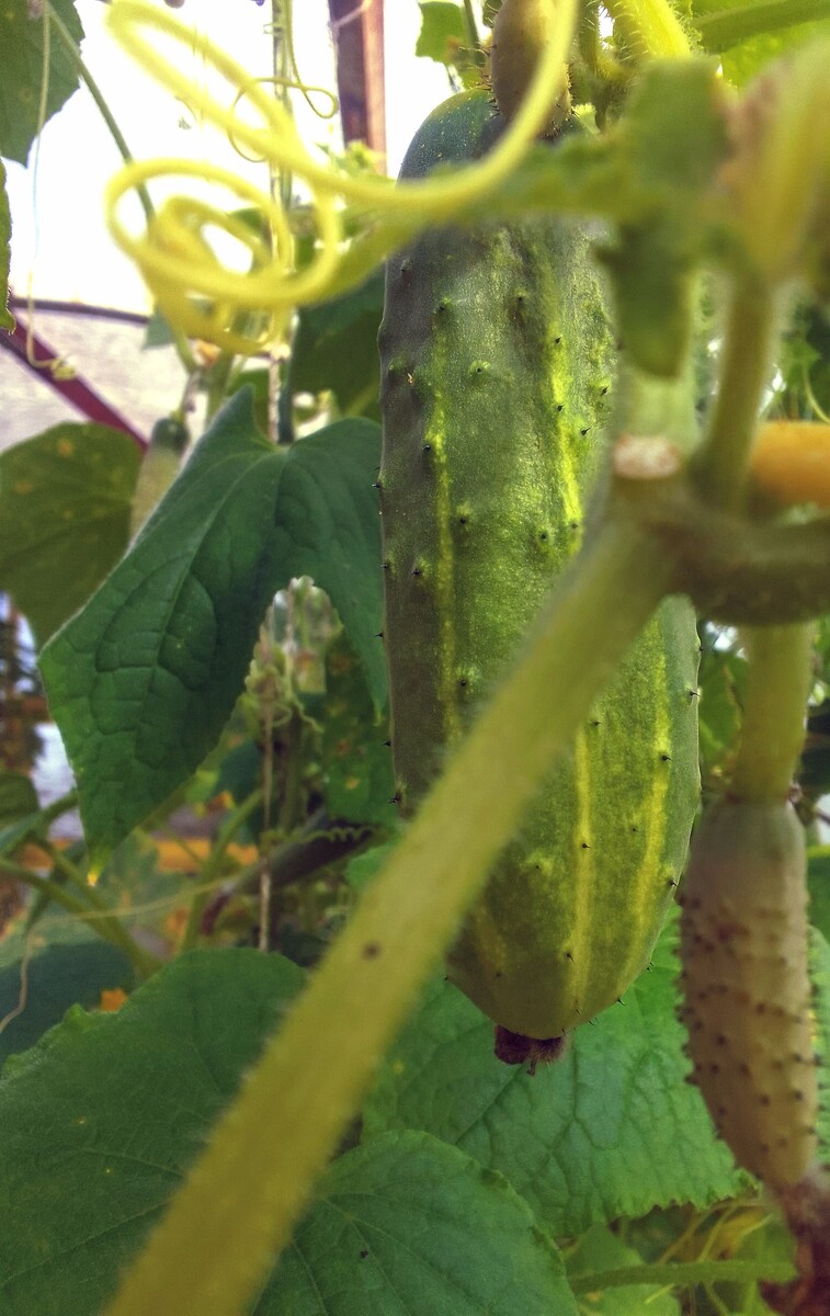 Фото сегодняшнее