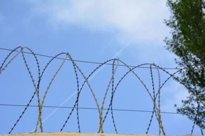 Иллюстрация: © «Панорама»